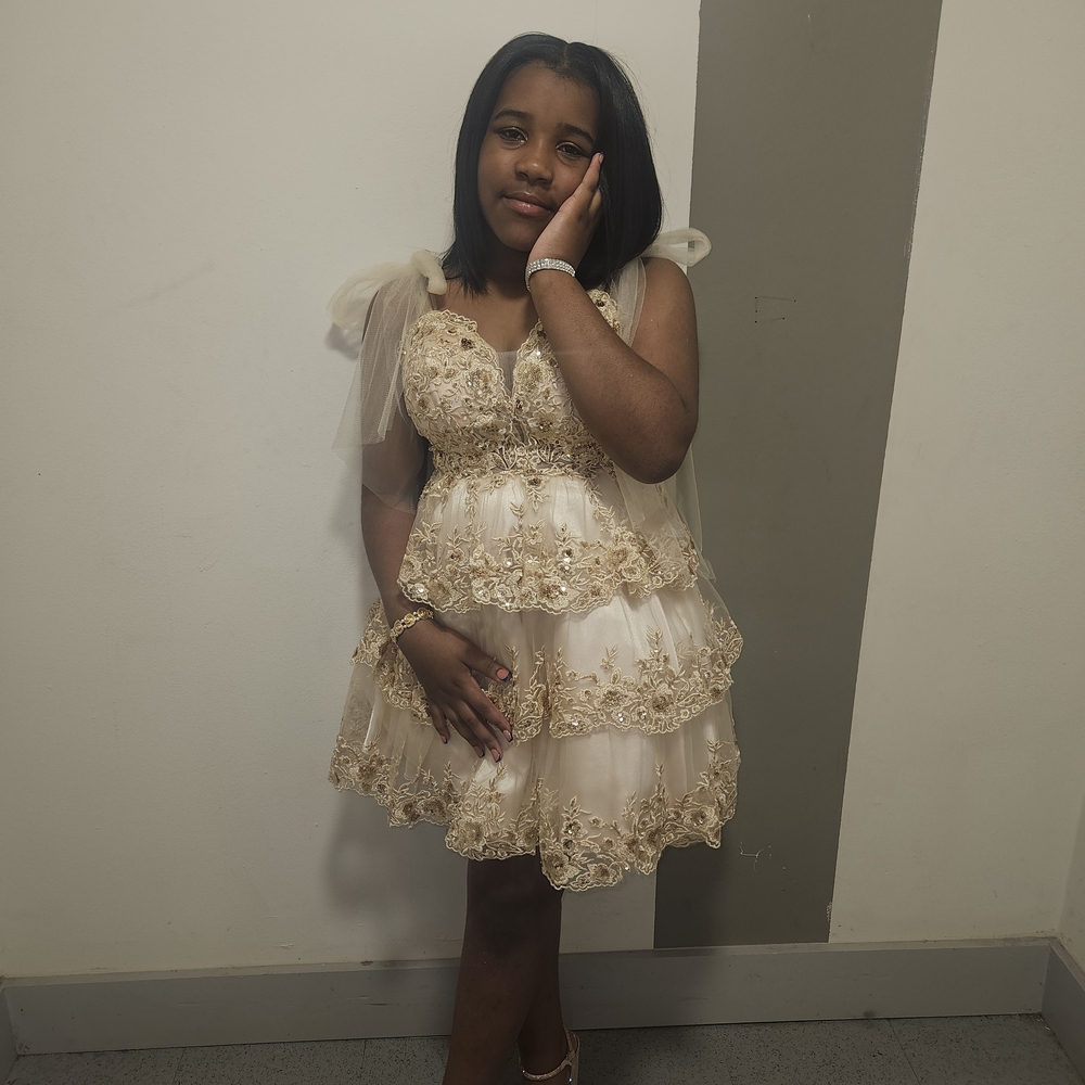 Elegant Cream Lace  Dress